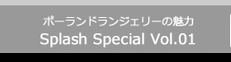 ポーランドランジェリーの魅力