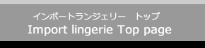 高級インポートランジェリー　トップ