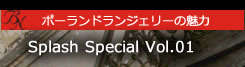 Vol,01 ポーランドランジェリーの世界