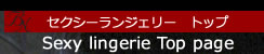 セクシーランジェリー　トップ