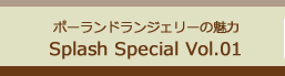 ポーランドランジェリーの魅力