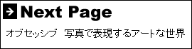 Previous Page 写真で表現するアートな世界