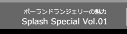 ポーランドランジェリーの魅力