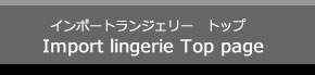 高級インポートランジェリー　トップ