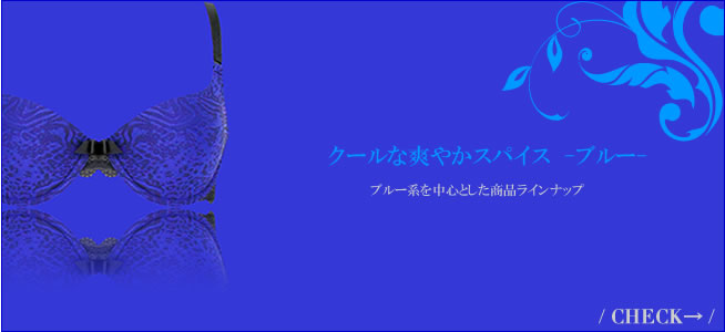 ブルー系ランジェリー