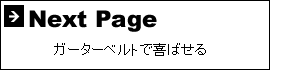 ガーターベルトで喜ばせる
