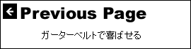 ガーターベルトで喜ばせる
