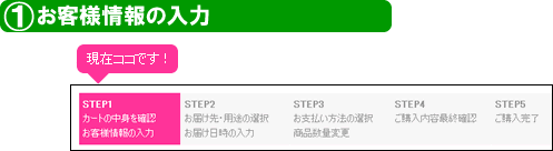 お客様情報の入力