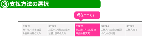 支払方法の選択