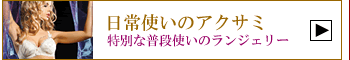 アクサミ・ベーシック　Axami
