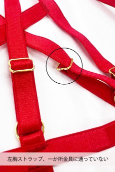 画像3: 【70%OFF】アウトレットSALE｜S/M｜S/Mサイズ｜NYX harness  | ハーネス・ブラ＆Tバックセット・オープンバスト・オープンクロッチ・ストラップ風・レッド | Anais アナイス センシュアルランジェリー【即日発送・サイズ交換NG・クーポン適用対象外・メール便対象】セクシーランジェリー   (3)