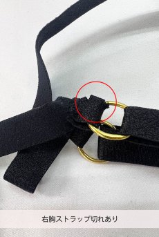 画像3: 【30%OFF】アウトレットSALE｜L/XL｜在庫限り｜EUDIKO body  | テディ・オープンバスト・オープンヒップ・ブラック | Anais アナイス センシュアルランジェリー【即日発送・サイズ交換NG・クーポン適用対象外・メール便対象】セクシーランジェリー   (3)