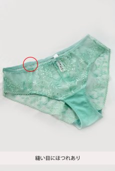 画像2: 【80%OFF】アウトレットSALE｜M｜NADEEN-mint-C110 | ノーマルショーツ・シースルー・ミント・ライトグリーン  | ewabien エヴァビアン【サイズ交換NG・クーポン適用対象外・メール便対象】輸入下着・高級ランジェリー  (2)