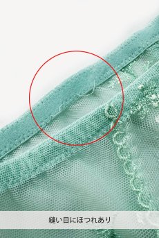 画像3: 【80%OFF】アウトレットSALE｜M｜NADEEN-mint-C110 | ノーマルショーツ・シースルー・ミント・ライトグリーン  | ewabien エヴァビアン【サイズ交換NG・クーポン適用対象外・メール便対象】輸入下着・高級ランジェリー  (3)