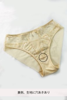 画像2: 【80%OFF】アウトレットSALE｜S｜在庫限り｜HELENE-vanilla-C110 | ノーマルショーツ・シースルー・バニラ  | ewabien エヴァビアン【サイズ交換NG・クーポン適用対象外】※メール便対象※輸入下着・高級ランジェリー （再入荷なし） (2)