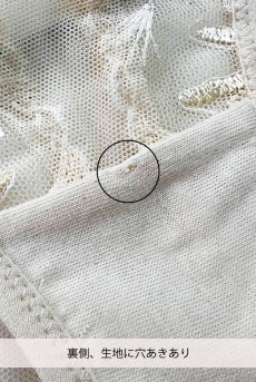 画像3: 【80%OFF】アウトレットSALE｜S｜在庫限り｜HELENE-vanilla-C110 | ノーマルショーツ・シースルー・バニラ  | ewabien エヴァビアン【サイズ交換NG・クーポン適用対象外】※メール便対象※輸入下着・高級ランジェリー （再入荷なし） (3)