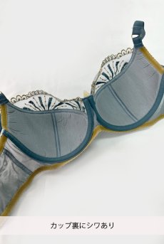 画像2: 【80%OFF】アウトレットSALE｜70D｜NATALI blue-grey B150 | フルカップブラ・透けないタイプ・セミソフト・大きいサイズ・ブルーグレー | ewabien エヴァビアン| 輸入下着・高級ランジェリー  (2)