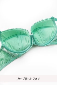 画像2: 【80%OFF】アウトレットSALE｜70E｜SOVANA green B214 | 3/4カップ・ワイヤーブラ・グラマー向け・グリーン| ewabien エヴァビアン【サイズ交換NG・クーポン適用対象外】 輸入下着・高級ランジェリー  (2)