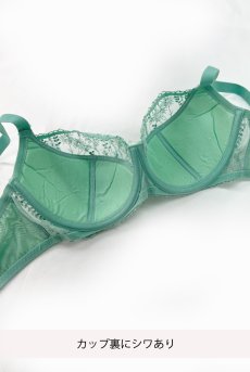 画像2: 【80%OFF】アウトレットSALE｜70D｜SOVANA green B150 | フルカップブラ・透けないタイプ・セミソフト・大きいサイズ・グリーン| ewabien エヴァビアン【サイズ交換NG・クーポン適用対象外】 輸入下着・高級ランジェリー  (2)