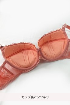 画像2: 【80%OFF】アウトレットSALE｜70E｜NATALI flamingo B214 | 3/4カップ・ワイヤーブラ・グラマー向け・ピンク| ewabien エヴァビアン【サイズ交換NG・クーポン適用対象外】 輸入下着・高級ランジェリー  (2)