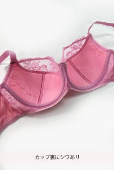 画像2: 【80%OFF】アウトレットSALE｜70D｜FIORA pink B150 | フルカップブラ・透けないタイプ・セミソフト・大きいサイズ・ピンク| ewabien エヴァビアン【サイズ交換NG・クーポン適用対象外】 輸入下着・高級ランジェリー  (2)