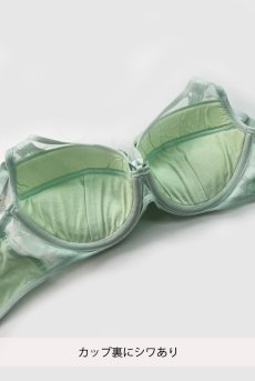 画像2: 【80%OFF】アウトレットSALE｜70E｜ORLANDO mint B214 | 3/4カップ・ワイヤーブラ・グラマー向け・B〜Gカップ・ミント | ewabien エヴァビアン【サイズ交換NG・クーポン適用対象外】 輸入下着・高級ランジェリー  (2)