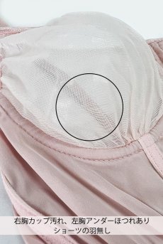 画像2: 【80%OFF】アウトレットSALE｜S｜Flamingo｜ワイヤー入りブラジャー＆ショーツセット・シースルー｜替え羽ストラップなし｜ギフトBOX入り｜未発表モデル・サンプル・見本品｜LA MUSA ラミューザ【即日発送・サイズ交換NG・クーポン適用対象外】輸入下着・ 高級ランジェリー   (2)