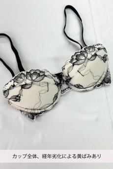 画像3: 【80%OFF】アウトレットSALE｜65D｜BOUNTY push  | 3/4カップ・ワイヤーブラ | Sawren サブレン【即日発送・サイズ交換NG・クーポン適用対象外】インポート・輸入下着・高級ランジェリー (在庫限り) (3)