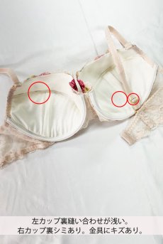 画像2: 【60%OFF】アウトレットSALE｜80E｜ROMANCE push  | 3/4カップ・ワイヤーブラ・ピンク | Sawren サブレン【即日発送・サイズ交換NG・クーポン適用対象外】インポート・輸入下着・高級ランジェリー  (2)