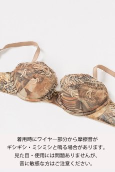 画像2: 【60%OFF】アウトレットSALE｜70D｜LATTE push  | 3/4カップ・ワイヤーブラ | Sawren サブレン【即日発送・サイズ交換NG・クーポン適用対象外】インポート・輸入下着・高級ランジェリー （再入荷なし） (2)