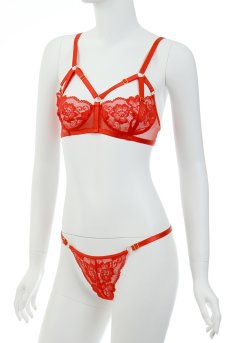 画像12: SUGAR set  | ノンパテッドブラ＆タンガ・ハーネス・ボンテージ・ノンワイヤー・Tバック・赤 | Anais アナイス センシュアルランジェリー【即日発送・サイズ交換NG・メール便対象】セクシーランジェリー   (12)