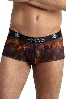 画像10: CHILL boxer  | メンズボクサーパンツ・ブラック・メンズ・シースルー・パームツリー柄 | 特製オールドブック型ケース付き｜Anais アナイス センシュアルランジェリー【即日発送・サイズ交換NG・メール便対象】 メンズ下着   (10)