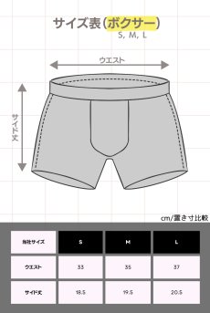 画像26: CHILL boxer  | メンズボクサーパンツ・ブラック・メンズ・シースルー・パームツリー柄 | 特製オールドブック型ケース付き｜Anais アナイス センシュアルランジェリー【即日発送・サイズ交換NG】 メンズ下着   (26)