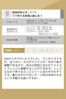 画像19: V-9866｜ボディハーネス・ブラック｜AxamiSexy アクサミセクシー【サイズ交換NG・メール便対象】輸入下着・高級ランジェリー  (19)