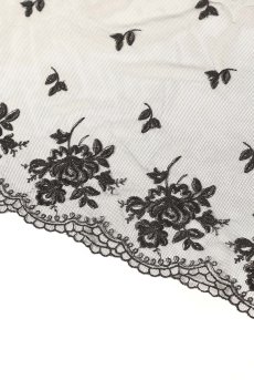 画像28: V-11048｜タンガ(Tバック)・ ブラック｜Axami アクサミ【サイズ交換NG・メール便対象】 輸入下着・高級ランジェリー  (28)