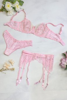 画像19: V-11038｜タンガ(Tバック)・ ピンク｜Axami アクサミ【サイズ交換NG・メール便対象】 輸入下着・高級ランジェリー  (19)