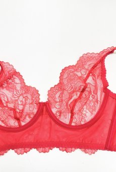 画像16: V-11901｜ 一枚レースブラ・パッドなし・コーラルレッド｜Axami アクサミ【サイズ交換OK・メール便対象】輸入下着・高級ランジェリー  (16)