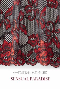 画像15: V-10021 | カバー付きオープンバストブラジャー・シェルフブラ・1/4カップ | AxamiSexy アクサミセクシー【サイズ交換NG】輸入下着・高級ランジェリー   (15)