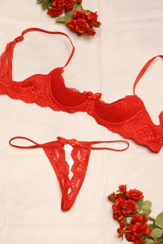 画像15: V-9801｜オープンバストブラジャー・シェルフブラ・1/4カップ・レッド｜AxamiSexy アクサミセクシー｜輸入下着・高級ランジェリー   (15)