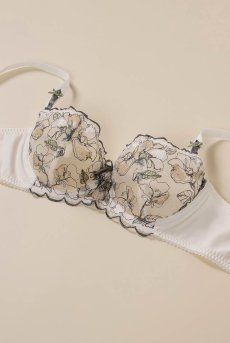 画像10: 【70％OFF】70Cサイズ｜PROMES-cream-B139 ｜パッドなし・ワイヤーブラ・一枚レース｜ewabien エヴァビアン【サイズ交換NG・メール便対象】 輸入下着・高級ランジェリー (10)