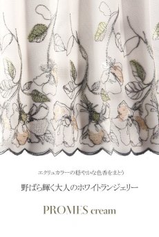 画像15: 【70％OFF】70Cサイズ｜PROMES-cream-B139 ｜パッドなし・ワイヤーブラ・一枚レース｜ewabien エヴァビアン【サイズ交換NG・メール便対象】 輸入下着・高級ランジェリー (15)