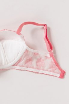 画像13: 在庫限り｜70Fサイズ｜AVERO-coral-B214 | 3/4カップ・ワイヤーブラ・グラマー向け・すっぴん美乳ブラ｜ ewabien エヴァビアン| 輸入下着・高級ランジェリー  (13)