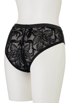 画像10: 【30%OFF】Sサイズ｜VELVET-black-C511｜ブラジリアンショーツ（ブラック・ベロア風） ※メール便対象【サイズ交換NG】エヴァビアン ewabien輸入下着・高級ランジェリー   (10)