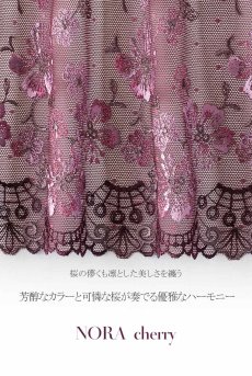 画像15: サイズ限定｜70D【50%OFF】NORA-cherry-B214 | グラマー向けすっぴん美乳ブラ・ストラップ太め・バストサロン推奨・プランジブラ・B〜Hカップ・ワインレッド・パープル | ewabien エヴァビアン【サイズ交換NG】輸入下着・高級ランジェリー (再入荷なし) (15)