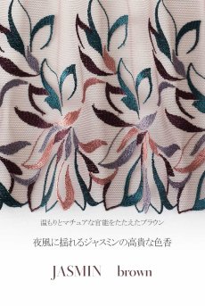 画像16: 【20%OFF】ブラジリアンタンガ（シースルー・ブラウン） ※メール便対象【サイズ交換NG】エヴァビアン ewabien輸入下着・高級ランジェリー  (16)