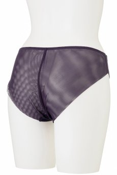 画像10: 【20%OFF】TAMAL-violet-C100 | ブリーフ・シースルー・パープル  | ewabien エヴァビアン【サイズ交換NG】※メール便対象※輸入下着・高級ランジェリー (再入荷なし) (10)