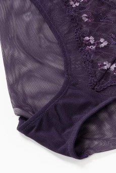 画像14: 【20%OFF】TAMAL-violet-C100 | ブリーフ・シースルー・パープル  | ewabien エヴァビアン【サイズ交換NG】※メール便対象※輸入下着・高級ランジェリー (再入荷なし) (14)