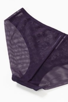 画像15: 【20%OFF】TAMAL-violet-C100 | ブリーフ・シースルー・パープル  | ewabien エヴァビアン【サイズ交換NG】※メール便対象※輸入下着・高級ランジェリー (再入荷なし) (15)