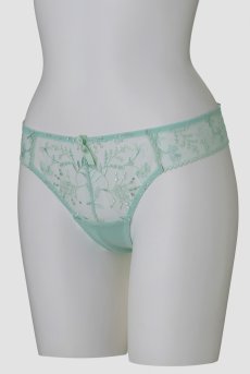 画像9: サイズ限定｜L【20%OFF】NADEEN-mint-C322 | ブラジリアンタンガ・Tバック・シースルー・ミント・ライトグリーン  | ewabien エヴァビアン【サイズ交換NG】※メール便対象※輸入下着・高級ランジェリー  (9)