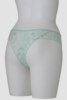 画像10: サイズ限定｜L【20%OFF】NADEEN-mint-C322 | ブラジリアンタンガ・Tバック・シースルー・ミント・ライトグリーン  | ewabien エヴァビアン【サイズ交換NG】※メール便対象※輸入下着・高級ランジェリー  (10)